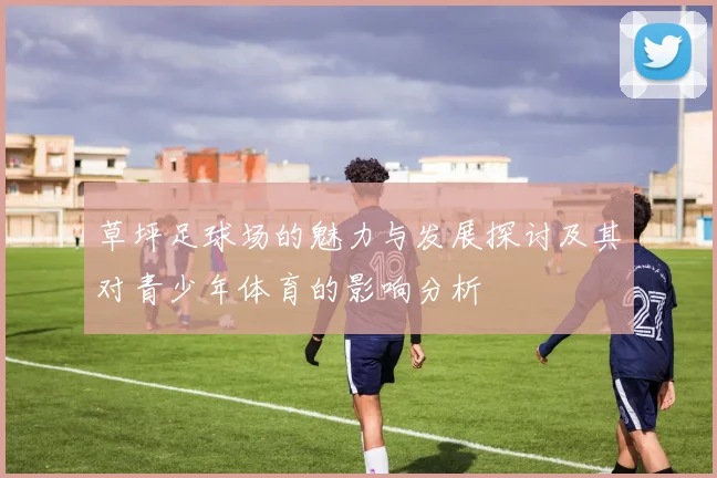 草坪足球场的魅力与发展探讨及其对青少年体育的影响分析