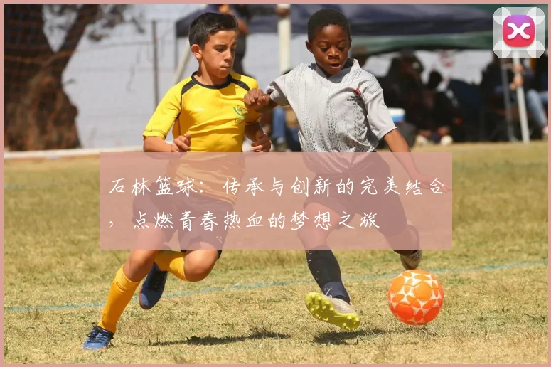 石林篮球:传承与创新的完美结合,点燃青春热血的梦想之旅