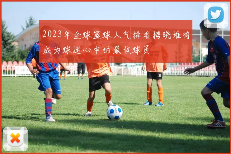 2023年全球篮球人气排名揭晓谁将成为球迷心中的最佳球员
