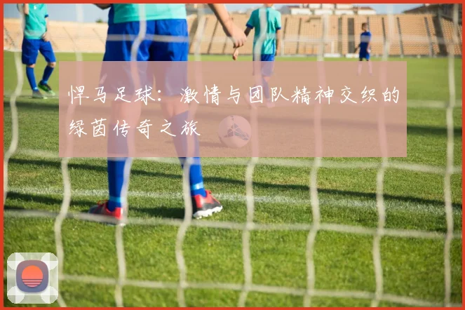 悍马足球：激情与团队精神交织的绿茵传奇之旅